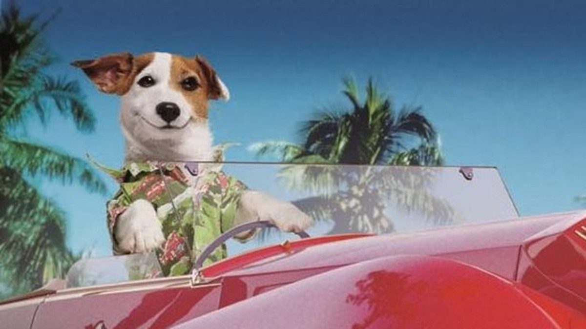 ÚLTIMS DIES PER COMPRAR LA LOTERIA DE NADAL!!!